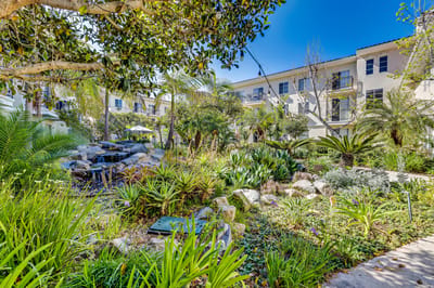Beautiful landscaped garden with greenery and a water feature