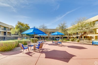 Outdoor seating area with umbrellas and landscaping