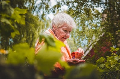 Senior woman tending to plants in a garden