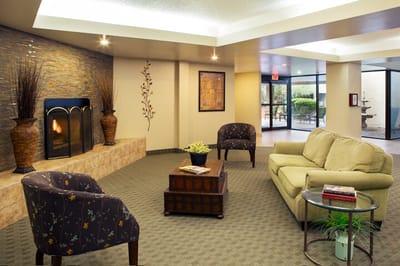 Interior seating area with a fireplace and plants