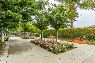 Landscaped outdoor space with pathways and flowers