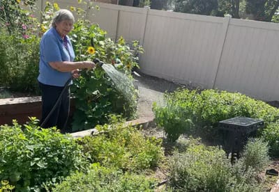 Resident watering plants in a vibrant garden