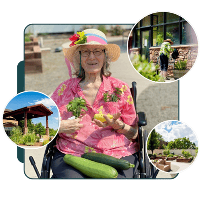 Resident enjoying gardening with vegetables