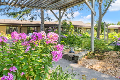 Beautiful garden area with colorful flowers
