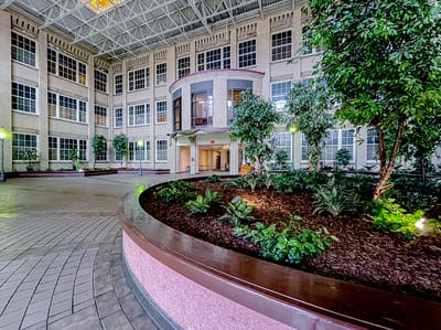Bright, spacious common area with indoor plants