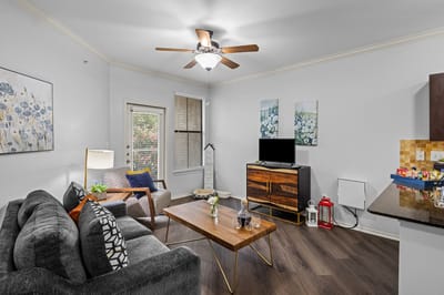 Cozy living room interior with modern furnishings