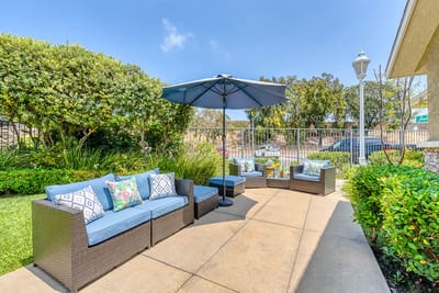 Outdoor seating area with plants and umbrella