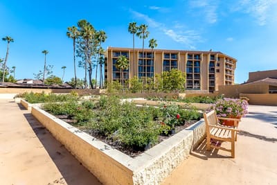 Outdoor garden area with building in the background