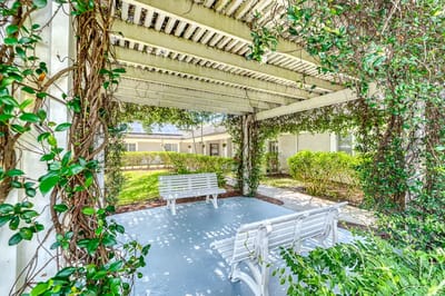 Seating area under a pergola with lush greenery