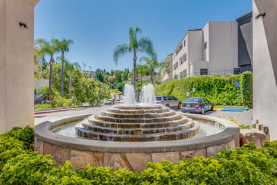 Outdoor fountain surrounded by greenery and palm trees