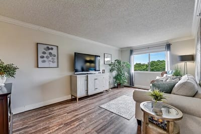 Bright, inviting interior living space with a view