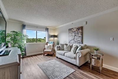 Bright and cozy living room with a couch and plants