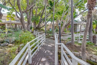 Lush garden pathway surrounded by trees