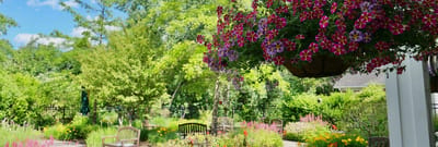 Garden area with flowers and seating in a serene setting