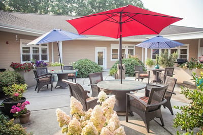 Outdoor seating area with umbrellas and plants