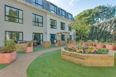 Outdoor garden with seating and greenery
