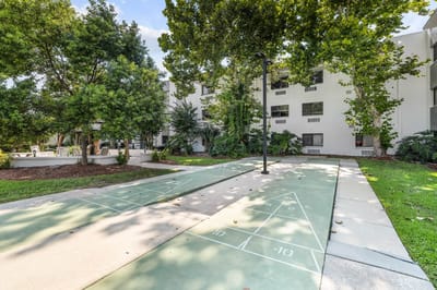 Outdoor shuffleboard court with surrounding greenery