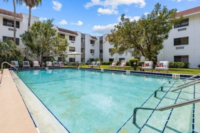 A clear view of the swimming pool surrounded by palm trees