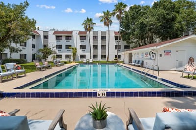 Swimming pool area with lounge chairs and palm trees