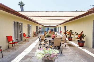 Outdoor patio area with seating and plants