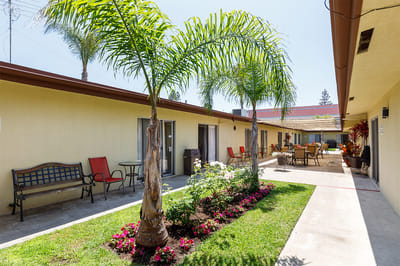 Outdoor courtyard with palm trees and seating area