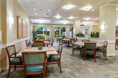A bright dining area with tables and plants