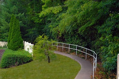 Curved pathway surrounded by greenery and trees