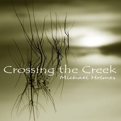 Silhouetted grass reflecting in a creek