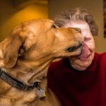 Applewood Our House Assisted Living Memory Care Golden