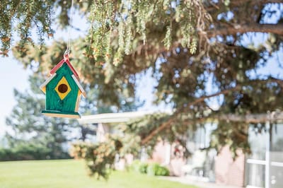 Colorful birdhouse hanging in a garden