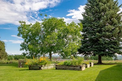 A serene garden space with raised planters