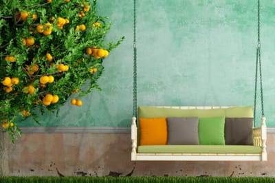 Outdoor swing with tree and fruit