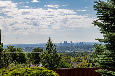 View of a city skyline from a lush outdoor space