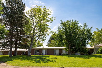 Exterior view of a senior living facility with trees