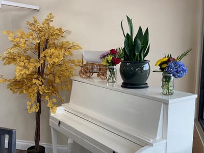 Decorative piano with plants and flowers