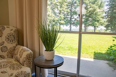 Indoor view with a cozy chair and a potted plant