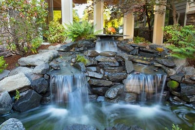 A serene outdoor water feature surrounded by lush greenery
