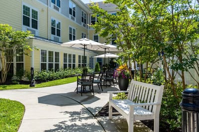 Outdoor seating area with umbrellas and greenery