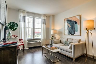 Cozy living room with comfortable sofa and decor