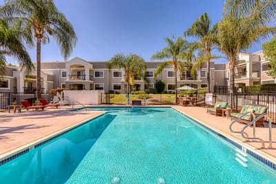 Outdoor pool area with palm trees and building in the background