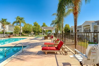 Outdoor pool area with lounge chairs and palm trees