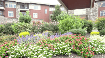 Vibrant garden with flowers at the facility