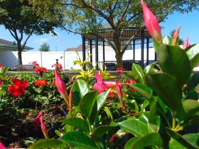 Outdoor garden area with flowers and gazebo