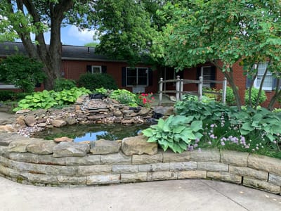 Outdoor pond area with lush greenery.