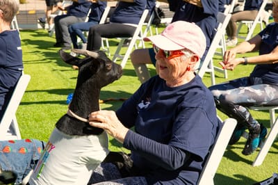 Resident interacting with a goat during an outdoor activity