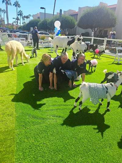 Staff interacting with animals in an outdoor space