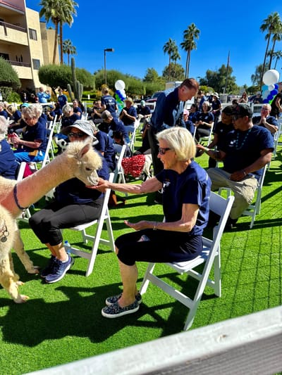 Residents interacting with an alpaca during an outdoor event