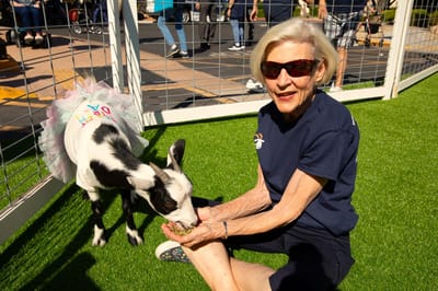 Resident feeding a goat in an outdoor area