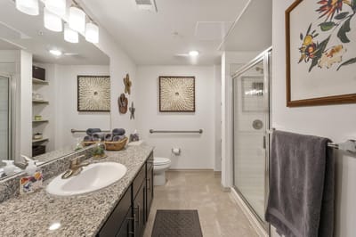Modern bathroom with sink and shower facilities
