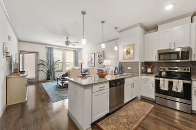 Bright and modern kitchen and living room area